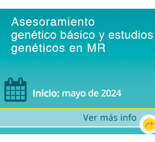 Asesoramiento 
genético básico y estudios genéticos en MR 