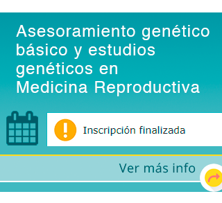 Asesoramiento 
genético básico y estudios genéticos en MR 