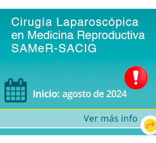 Cirugía Endoscópica Ginecológica Teórico - Práctico 2024